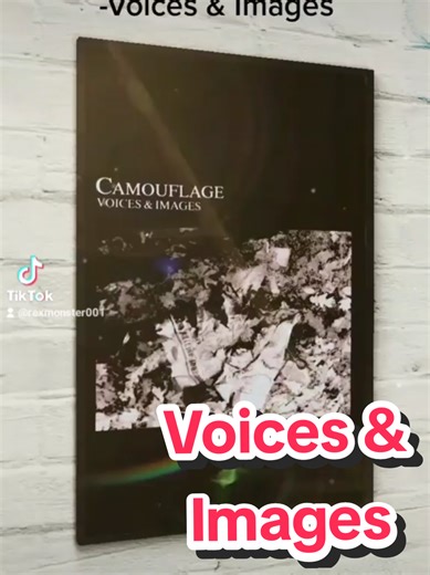 Camouflage-Voices & Images 04/03/88 El 4 de marzo de 1988 el grupo alemán de new wave y synth-pop Camouflage debutaba discográficamente con el album titulado Voices & Images,trabajo discográfico producido por Axel Henninger y la misma banda y lanzado por las discográficas Metronome Records y Atlantic Records. En 2018 se anunció una edición limitada del álbum para conmemorar el 30 aniversario con remezclas eliminadas, versiones raras y caras B. De este álbum se extrajeron los sencillos