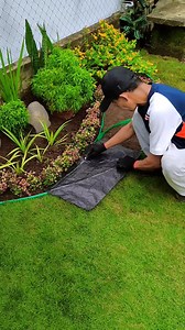 8.1M views · 70K reactions | Artistic Garden Edge Landscaping | DIY Landscape Design Ideas Part 18 #landscape #landscaping #garden #diy | Oliver Uriarte | Facebook