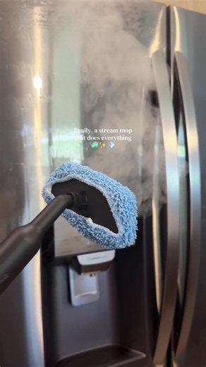 13-in-1 Steam Mop Review: Best Steam Cleaner for Whole House