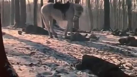 От Буга до Вислы 1980