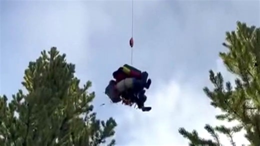 2 hikers injured in bear attack on Yellowstone trail