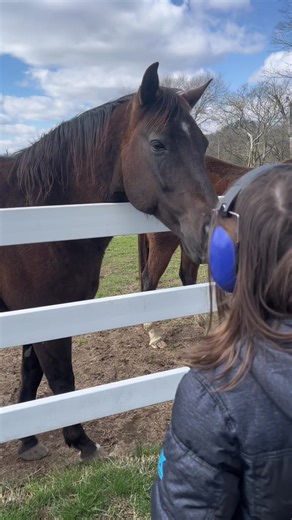 Horses and happy stims:) #horse #autism #nonverbal #farmlife #horsesoftiktok #motherson #family #fyp #foryou