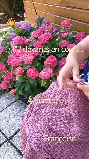 Tricot Cardigan Femme en cours à col rond au point Relief et bordures ajourées 6 tailles (création)