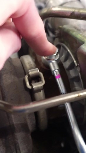 Chase Schrader on TikTok