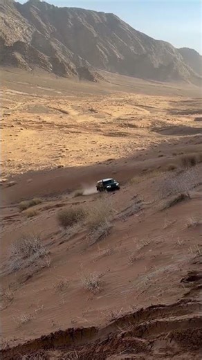 FJ cruiser speed controling 4x4 viral video trending video #shortvideo #offroad #toyotarevo #craze