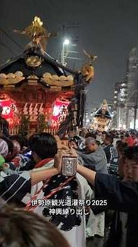 Isehara Dokan Festival 2025 | See all 9 portable shrines at once 🔥