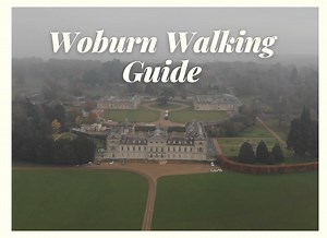 Woburn Abbey & Deer Park Walk | Walking Guide & Map | Woburn Park Walk Guide Through Woodland And Deer Park