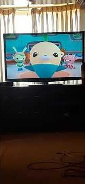 octonauts creature report triggerfish