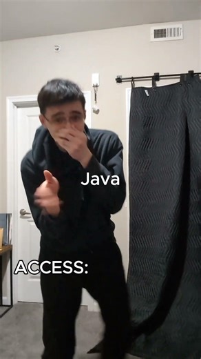 access denied if i was programming language #indiedev