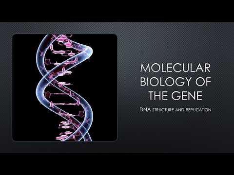 Molecular Biology of the Gene Part 1