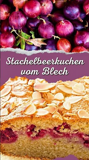 In Rekordzeit gebacken: Dieser Stachelbeerkuchen vom Blech (Joghurtkuchen) ist ein Hit