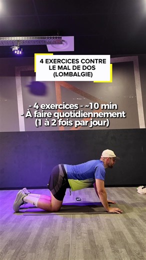 4 exercices - ~ 10 min À faire quotidiennement quand tu souffre du dos de façon chronique ou non, 1 à 2 fois par jour pour te soulager. OBJECTIF : Travailler les muscles profonds du dos, du tronc et des abdos. Ce sont des muscles qui ont besoin d’être plus plus efficace pour stabiliser la colonne vertébrale notamment la partie lombaire #bienêtre #santé #renforcementmusculaire #remiseenforme #mobilité