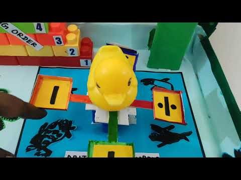 Maths project for 1st standard