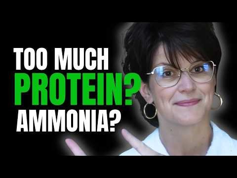 Too Much Protein? What Ammonia Really Does in Your Body