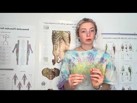 Supraspinatus activation