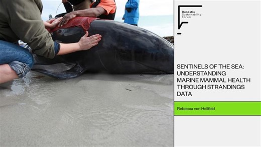 Rebecca Von Hellfeld. Sentinels of the Sea: Understanding Marine Mammal Health Through Strandings | Rebecca von Hellfeld