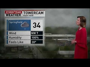WICS Main Weather - 5 p.m. 4/20/21