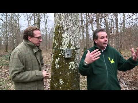 Comment utiliser une caméra de surveillance sur votre territoire de chasse?