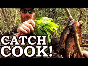 Eating Only What We Find in the Forest! | Catch and Cook Survival Challenge