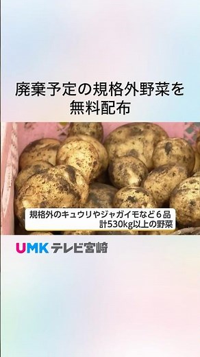 Reducing Food Waste & Supporting Families: Free Distribution of Surplus "Ugly" Vegetables