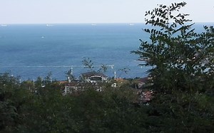 感受一下尼康P950恐怖的变焦能力