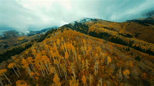 Autumn by first person view drones, part 3