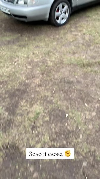 Саме старе німецьке авто: Ауді та його якість