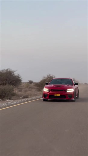 Zombie Brain Infestation