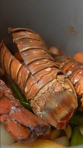 Lobster Stock Recipe