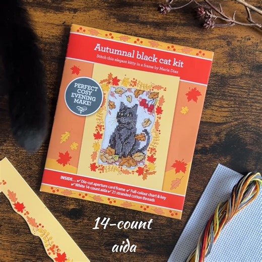 Want something to look forward to at the end of the summer? Subscribe to The World of Cross Stitching today and your first issue to arrive will be our beautifully autumnal October edition 🍂 🐈‍⬛ As well as this gorgeous black cat card frame kit by Maria Diaz Cross Stitch Designs, there’s a brand new Wrendale Designs by Hannah Dale pattern, plus Margaret Sherry kitty, stunning canal barge scene and lots of inspiration for spooky season with Halloween lanterns and more 🎃 For a limited time only,