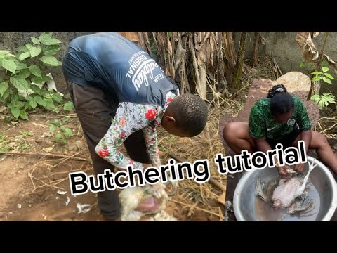 Chicken Butchering Tutorial #subscribe #youtubevideo #goviral #fypシ゚viral