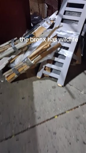 Starson Morrison (@jdmorrison2)’s videos with Mission Impossible Theme (Movie Trailer Mix) - Dominik Hauser