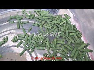Green Beans Cutting Machine Long Cut Up to 75mm | Cutting Long Beans | French Beans Cutting