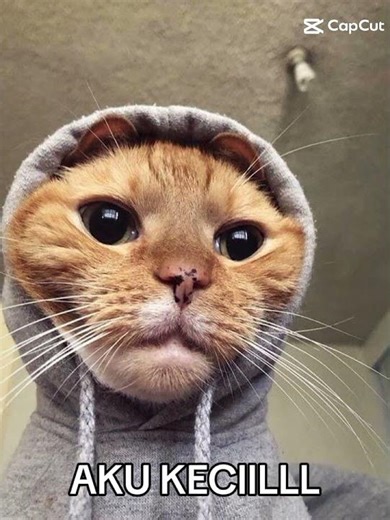 bintang kecill 😅 #fypシ゚viral #subcribemychannelplease #remixmusic #edit #i_i