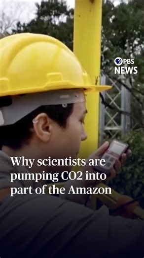 3.3K views · 54 reactions | Hundreds of miles from the U.N. conference on climate change that wrapped this past weekend in Belém, Brazil, scientists are conducting a first-of-its-kind experiment that could help future policymakers address the issue. John Yang reports. | PBS NewsHour | Facebook