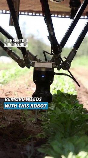 Autonomous Weeding Robot for Efficient Weed Removal