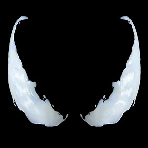 Venom: The Last Dance