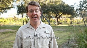 Want a peak behind-the-scenes at Disney's efforts to care for animals and protect the planet? Dr. Mark Penning, Vice President Disney's Animals, Science and Environment has launched a new Instagram account - showcasing how his team is CARING for animals and the environment, CONNECTING people to nature and CONSERVING natural resources every day. We so proud to showcase the knowledge, work and care of this incredible team - shown through the eyes of their amazing leader! Get to know Dr. Mark in th