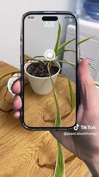 Identify Plants Instantly with Snap & Know