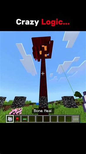 Crazy Logic... 🤡 #minecraft #gaming