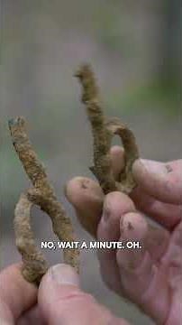 Incredible Discovery Unearthed! | The Curse of Oak Island | #shorts