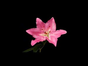 using you (mars argo) but it's only the best part looped