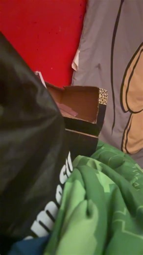 Super Alexa mode activated