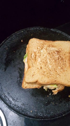 Quick & Tasty Kids Lunch Box Sandwich in 5 Minutes