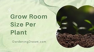 Grow Room Size Per Plant