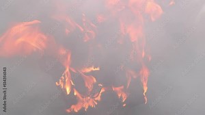 Electrical fire due to short circuit in electrical wiring of switchboard.