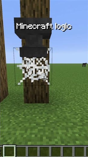 Minecraft LOGIC? 🤔 #minecraft #shorts