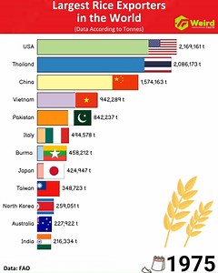 5.2M views · 10K reactions | Largest Rice Exporters in the World | Weird Facts | Facebook