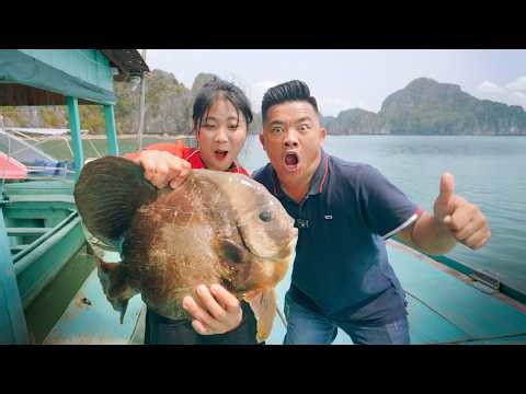 SAPA TV | BẤT NGỜ GẶP CÁ MÚ KHỔNG LỒ 80KG TẠI VỊNH LAN HẠ CÁT BÀ HẢI PHÒNG