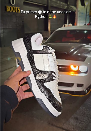 Tenis en Python 🐍 modelo gt 🔥#fyp #foryou #viral